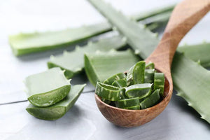 Aloe Vera Natural Ingredient For Young Goat La PIEL Blog